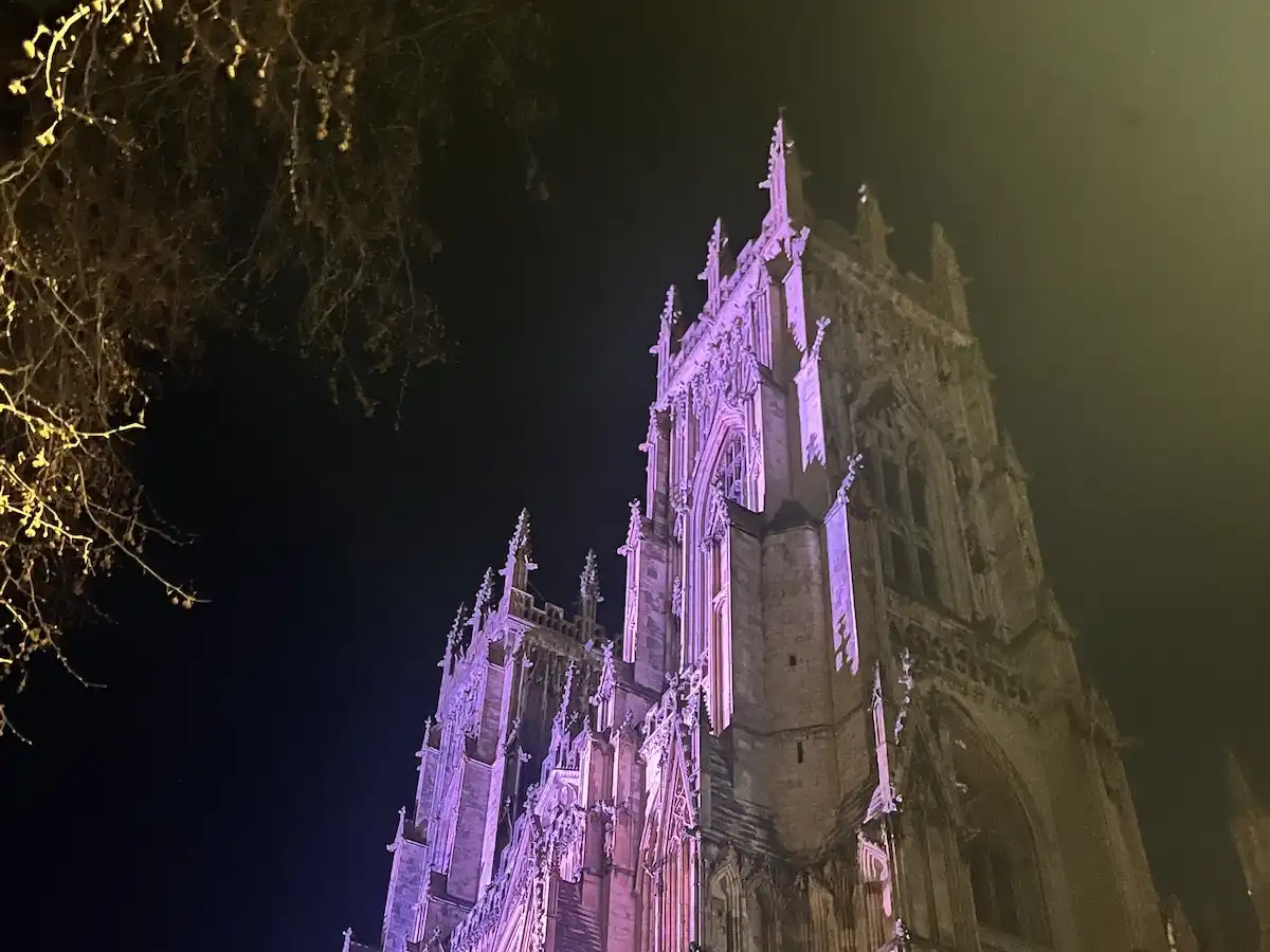 Tree by York Minster
